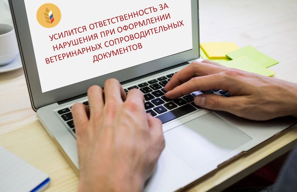 Внимание! Усилится ответственность за нарушения при оформлении ВСД.